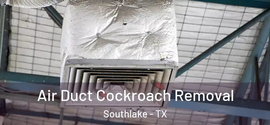 Air Duct Cockroach Removal Southlake - TX