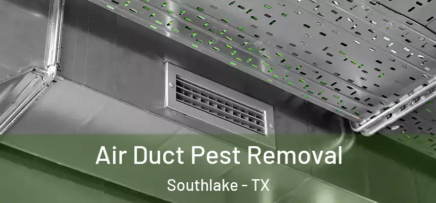  Air Duct Pest Removal Southlake - TX