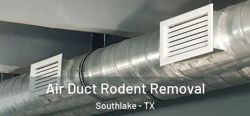  Air Duct Rodent Removal Southlake - TX