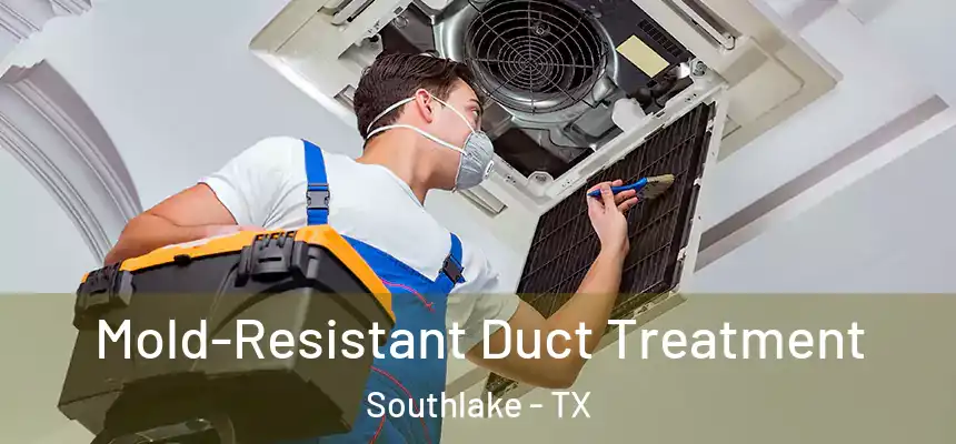 Mold-Resistant Duct Treatment Southlake - TX