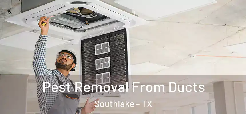  Pest Removal From Ducts Southlake - TX