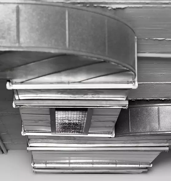 Professional Air Duct Pest Removal in Southlake, TX