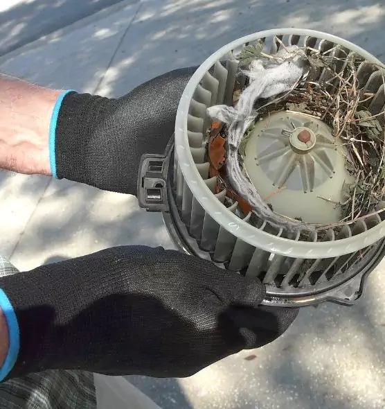 About Air Duct Rat Removal in Southlake, TX