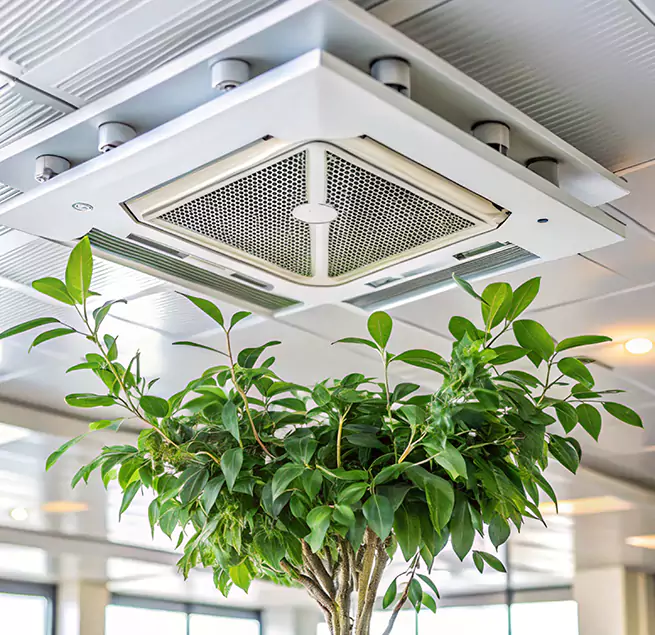 Why Homeowners & Businesses Trust Us in Southlake, TX?